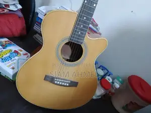 Guitar