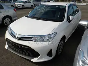 Toyota Axio EX 2020