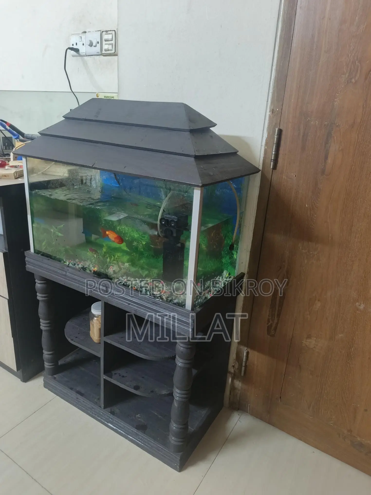 Aquarium- একুরিয়াম
