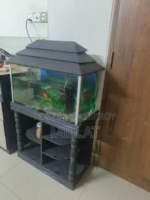 Aquarium- একুরিয়াম