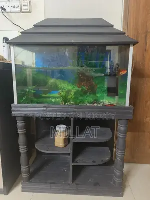 Aquarium- একুরিয়াম