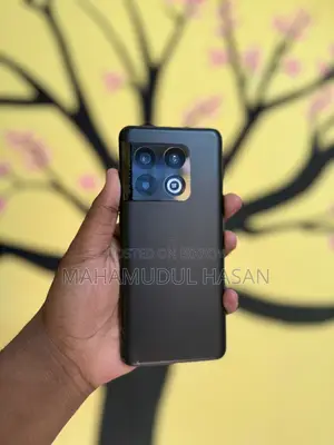 OnePlus 10 Pro 12/256 (Used)