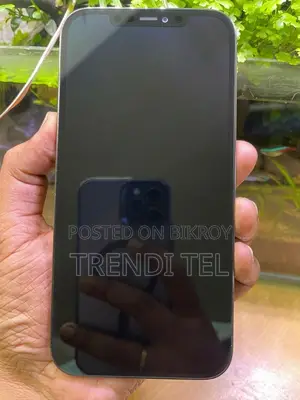 Apple iPhone 12 Pro Max 128 GB Blue