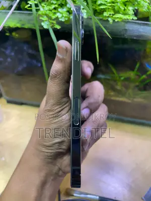 Apple iPhone 12 Pro Max 128 GB Blue