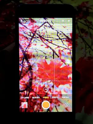 Apple iPhone 8 Plus (Used)