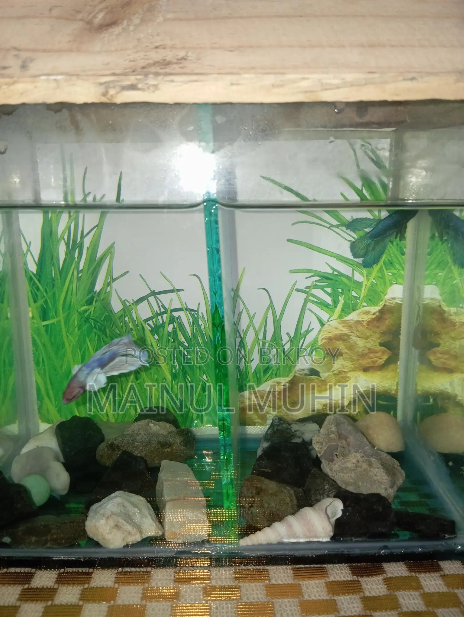 Aquarium for Sale
