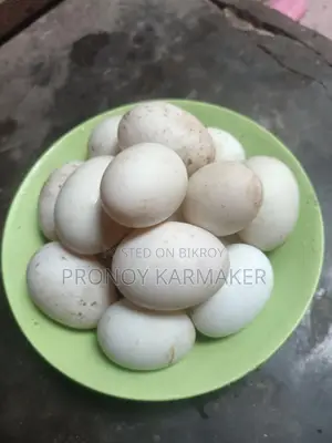 Deshi Duck Eggs