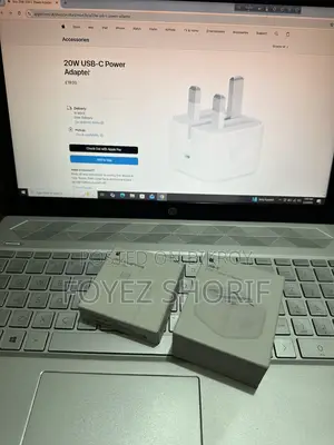 20W Charger and Cable