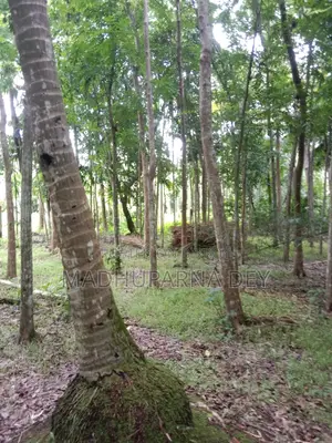 বাগানবাড়ি, জমি বিক্রয়
