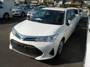 Toyota Axio EX 2020