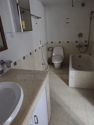Full Furnished Luxurious Apartment Rent Baridhara Road 3