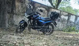 Suzuki Hayate 2017