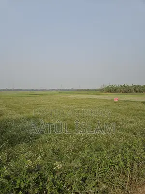 32 Decimal Land for Sale (19.4 Katha)