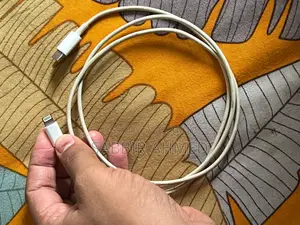 Apple iPhone Original Cable
