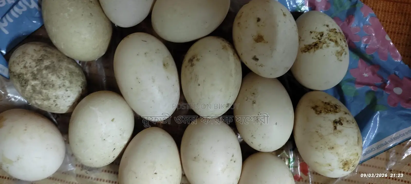 Chinese Duck Eggs