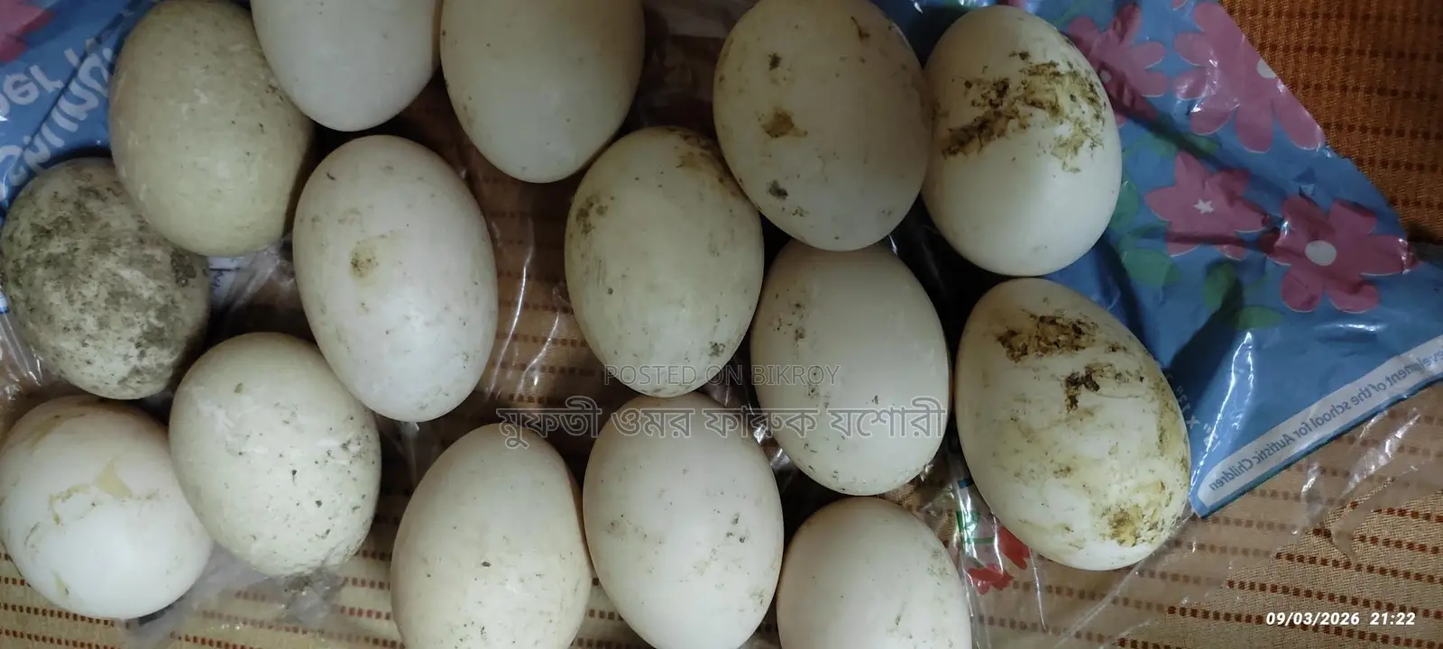 Chinese Duck Eggs