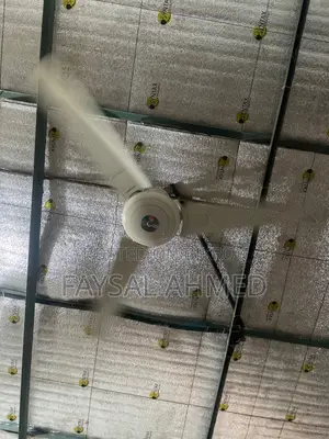 Walton Fan For Sale