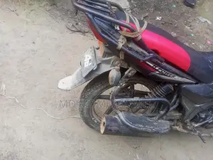Zaara 100 2015