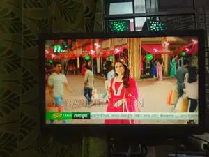 Skyview 19-Inch LED TV