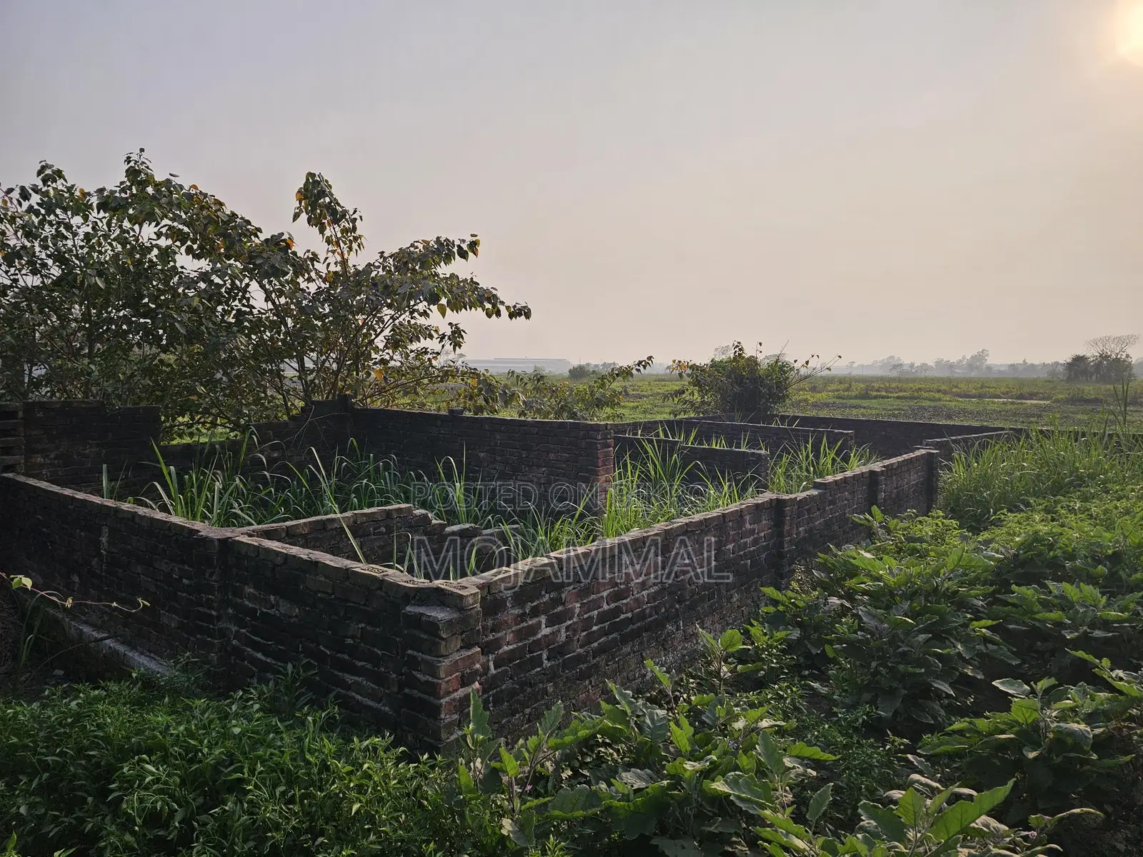 Narayanganj Bolta Gausia Urgent Plot Sale