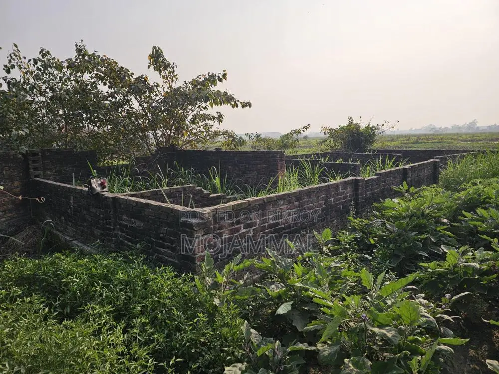 Narayanganj Bolta Gausia Urgent Plot Sale
