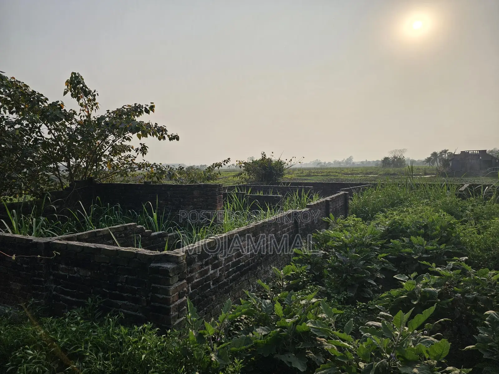 Narayanganj Bolta Gausia Urgent Plot Sale