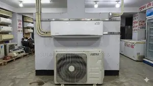 Astra 1.5 Ton Non-Inverter AC for Sale