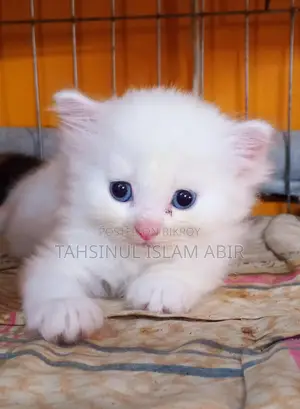 Traditional Persian male