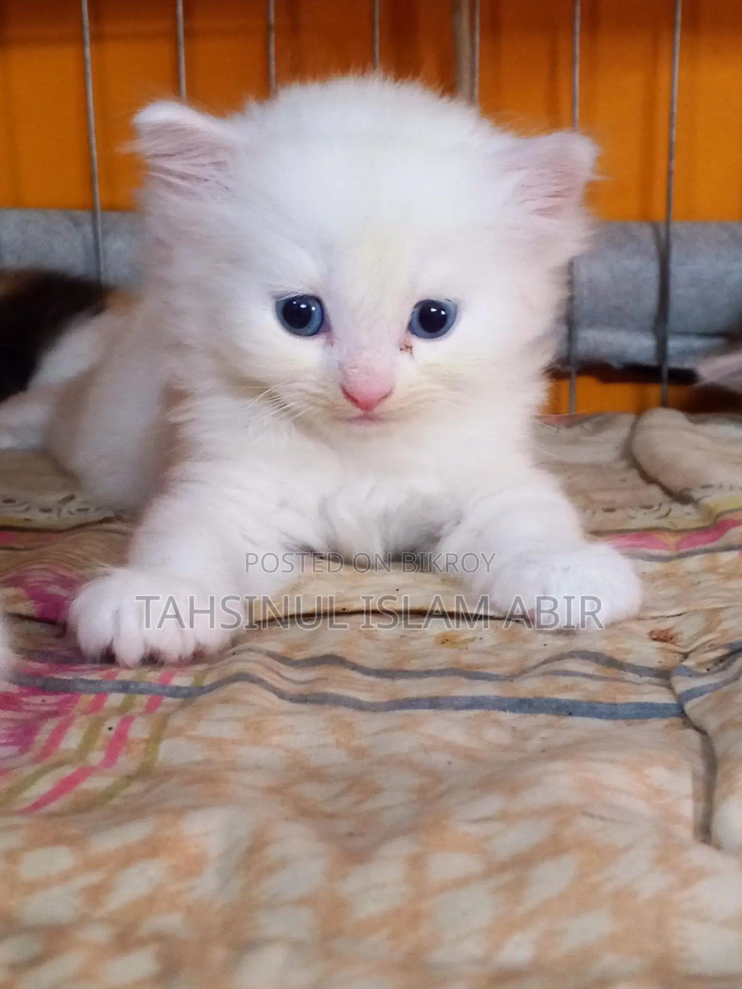 Traditional Persian male