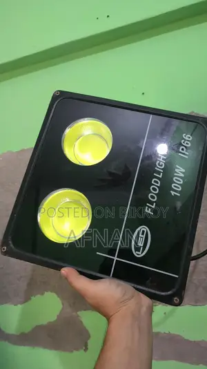 ফ্লাড লাইট ১০০ডব্লিউ আইপি৬৬