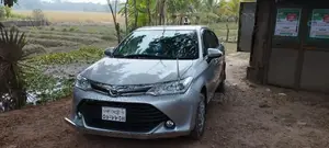 Axio For Rent