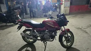 Bajaj Pulsar 150 Super Fresh Condition 2011