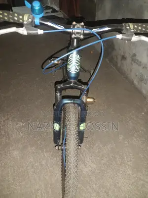 Forever Bicycle for Sale