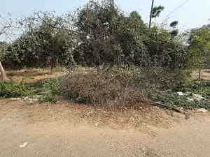 রাজউক পূর্বাচল – ৫ কাঠা আবাসিক প্লট বিক্রয় বিজ্ঞপ্তি