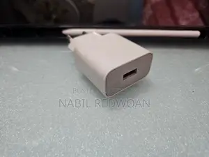 Xioami 10 W official charger