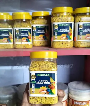 পাখির এগফুড