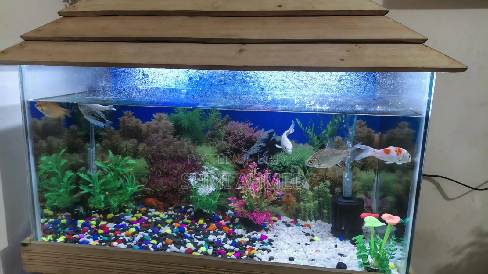 Aquarium 3ft / 1.5ft