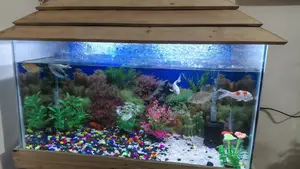 Aquarium 3ft / 1.5ft
