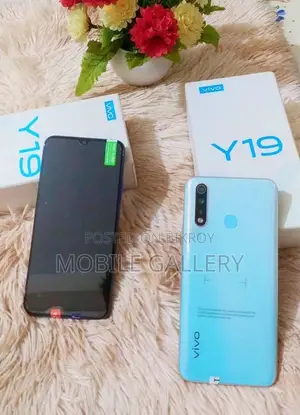 Vivo Y19 8+256 (Brand New)
