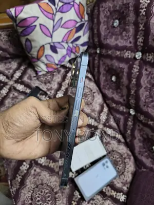 Apple iPhone 13 Pro Max . (Used)