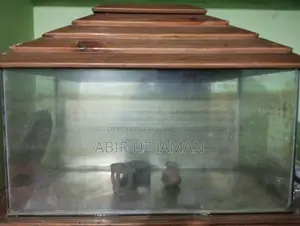Urgent Large Aquarium for Sale