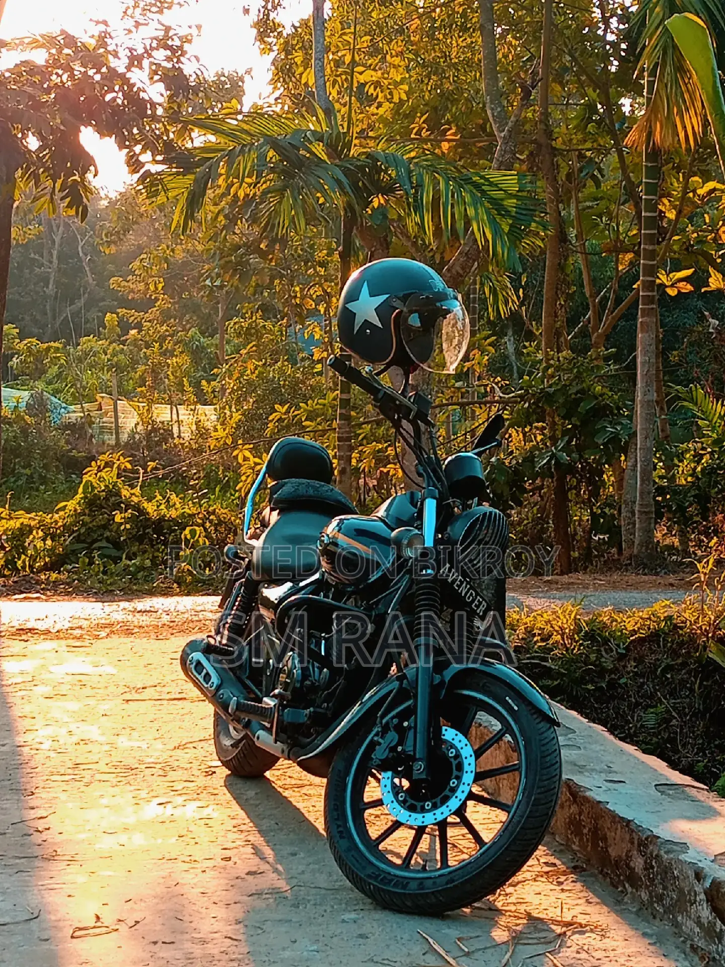 Bajaj Avenger 150 Street . 2018