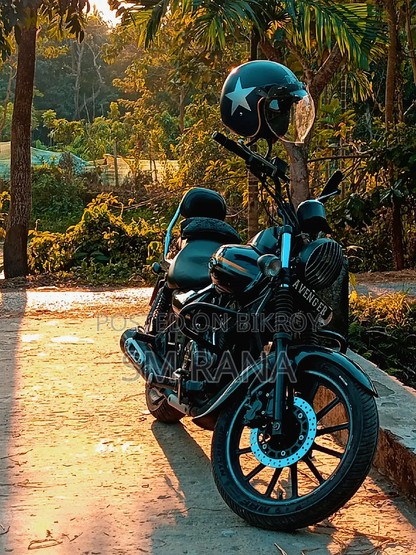 Bajaj Avenger 150 Street . 2018