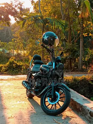Bajaj Avenger 150 Street . 2018