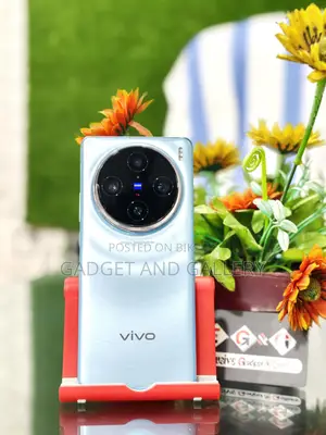 Vivo X100 Pro 16+512gb like new (Used)