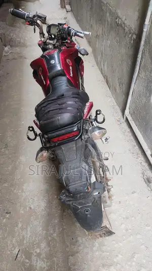 Modified E-Bike 2021