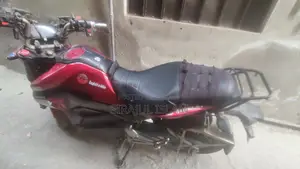 Modified E-Bike 2021