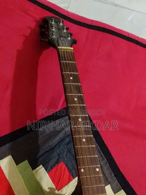 Guitar for Sale! Topaz 265, Halder Enterprise