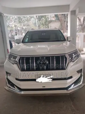 Toyota Prado face slip m18 2012