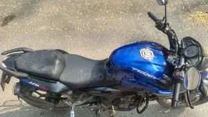 Bajaj Pulsar NS 160 2010